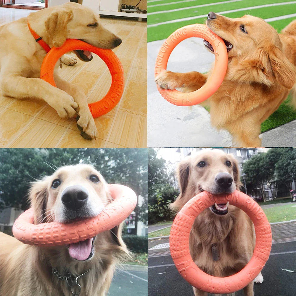 DogTrainingRing™