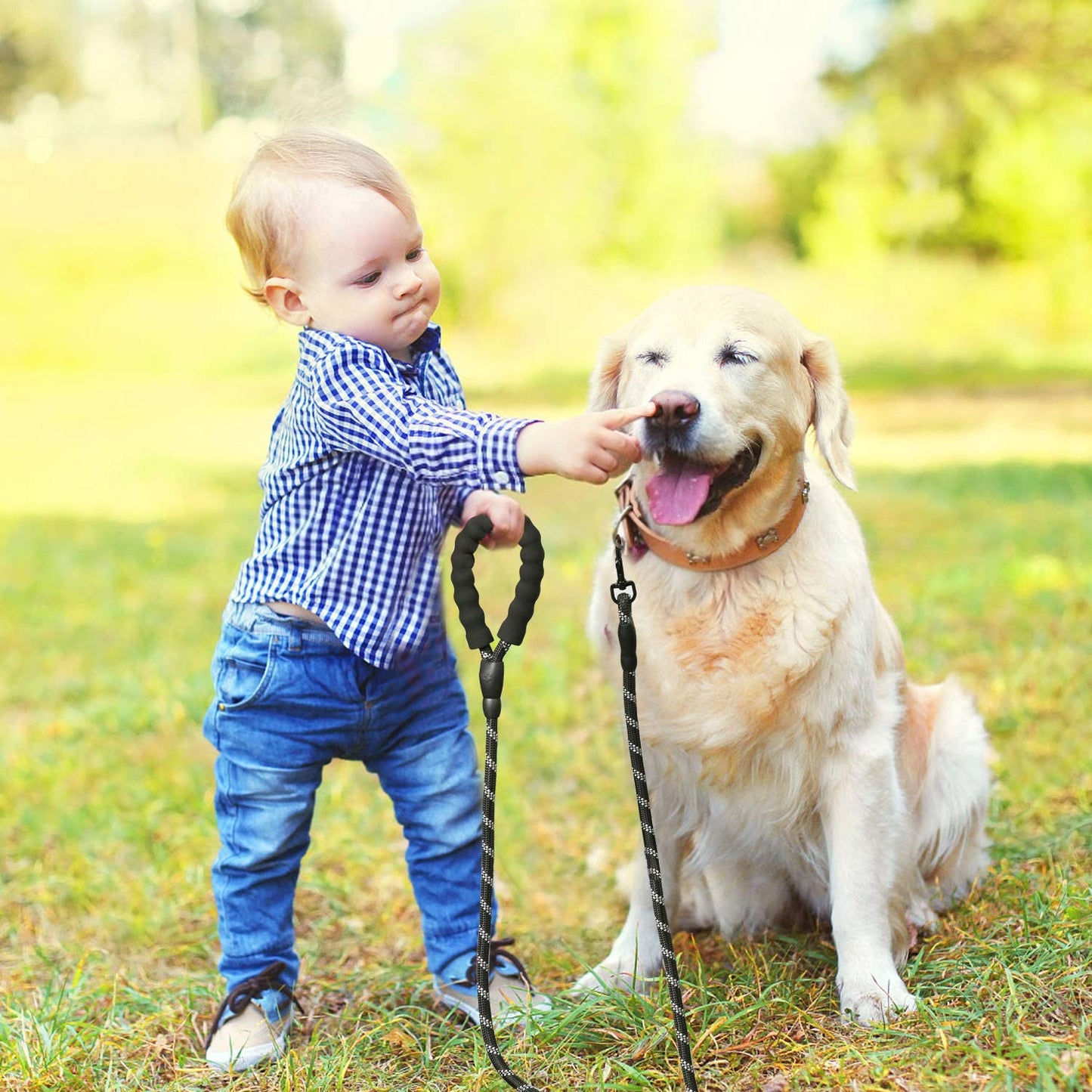 LaisseEduc™ - Corde en Nylon pour chien | Chien